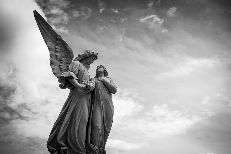 pexels-pixabay-208001-scaled.jpg